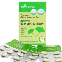 징코 혈액순환제 식약처인증 혈액순환개선제 은행잎 추출물 플러스 혈행개선 고함량 정제 캡슐 알약 추천 효능, 1개 (60정 2개월분)
