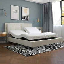 오킨 모터 전동침대 모션베드 킹 트윈 분할 모션 침대 리클라이너 무중력 침대 마사지 퀸 킹, 트윈 180x200(매트리스X)