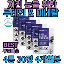 어르신 노인 눈에좋은 영양제 루테인 아스타잔틴 눈 침침할때 건조 피로 영양제 건강 침침 비타민