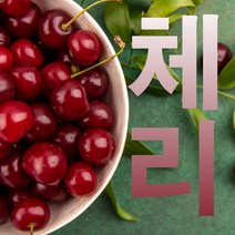 [특] 프리미엄 칠레산 생 체리 2j 3j 점보사이즈 5kg, 1박스