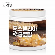 건강앤 보스웰리아 추출분말 인도 식이 유향보스웰리아 보스웰릭산 먹는 식이유황 300g 1통