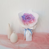 오로라 수국 꽃다발, 오로라 수국 꽃다발 ( 8.졸업을 축하합니다 )