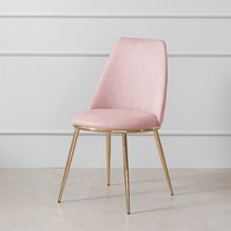 핀란디아 보니아 골드 스테인리스 식탁의자 2EA//카페의자/인테리어의자/디자인체어/북유럽풍의자/다이닝체어, 핑크