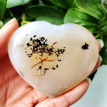 영플랜츠 수초 발리스네리아 나자스말 붕어마름 개구리밥 생이가래 천연 석재 수생 식물 묘목 마노 심장 마, 17 17     11g