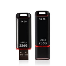 withSKm&service SK30 초고속 뚜껑형 USB3.0메모리 8GB~256GB [레이저각인 무료], 16GB