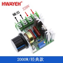 2000W 제어실리콘 압력조절기 모터 220V 고출력 전자조, 옵션01