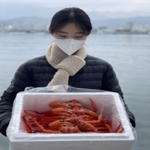 [품질보장] 홍게 연지홍게 여니수산 자숙 제철 속초홍게, 실속형홍게, 자숙(찜), 2kg, 1개