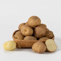 국내산 하우스 햇 감자 2kg / 왕특, 단품