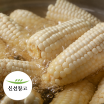 2023년 강원도 미백 찰옥수수 특품 횡성 고랭지 햇 옥수수 생옥수수, 30개