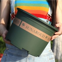 에잇플 와이드 감성 플라스틱 화분, 딥그린