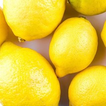 팬시 레몬 20과 중소과 중과 대과, 중소과 30개, 30개