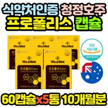 호주 수입 먹는 프로폴리스 아연 황사철 영양제 5통 BEEPROPOLIS 홈쇼핑 코스트코 구강 할머니 할아버지