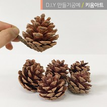 크리스마스 만들기 재료 소품 진짜솔방울 1kg 약50~60개입 리스장식