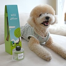 위스펫 반려동물 강아지 고양이 천연 아로마 디퓨저 선물 실내방향제 120ml 단품, 로즈우드