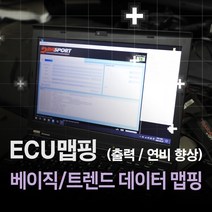 ECU 맵핑 연비 출력향상 다이나모 측정, 1.베이직(유로4/5디젤)