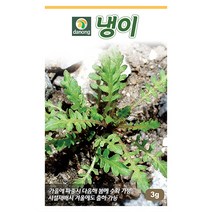 갑조네 민속특수 씨앗 모음, 냉이(씨앗), 1개