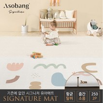 아소방 [아소방] 1+1 시그니처 원컷 유아 놀이방매트 어도러블 250 (250x150x2cm), 선택완료