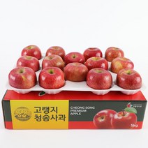 청송사과 정품 사과 중량별 크기별 부사 사과 고랭지사과, 정품 중과 5kg(16-18과), 1개