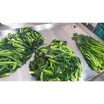 여수돌산 해풍절임갓 10kg 도착날짜가 필요시 메모란에 기입 산지직송, 1팩