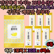 사과초모식초 발효음료추천 프로바이오틱스 겨울 60대 락토바실러스 람노서스 불가리쿠스 LGG유산균 마시는유산균 따뜻한차 겨울철 12월 11월 가을철 선물 향좋은차 80대 70대