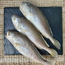 반건조 부세 조기 5마리 27-29cm내외 제수용 부세 굴비 제수용 생선