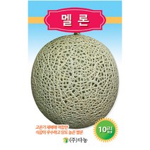 원홍3호 방울토마토 씨앗 50립 - 야채씨앗 채소씨앗 채소재배 방울 토마토 키우기 종묘 종자 베란다 텃밭 씨 씨앗 오이 호박 수박 참외, 21_다농_멜론(10립)