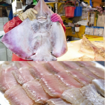 [인천산지직송] 국내산 대청도 홍어 200g x 2 개 중간삭힘, 200gx2(400g)