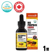 프로폴리스 연말 겨울 환절기 건강 관리 선물 세트 비 프로폴리스 BEEPROPOLIS 리퀴드 활력 항산화 식품 프로폴리스 리퀴드 여자친구 남자친구 부모님 영양제 생일 결혼기념일 새해