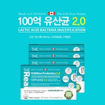 캐나다 위산 장스트레스 에 강한 녹지않는 살아서 장까지 가는 100억 보장균수 백억 장면역 유산균 비피더스균 락토바실러스 캡슐, 60정, 4개, 0.5g