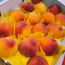 경북 제철 햇 황도 복숭아 딱딱이 물렁이, 4kg, 1개