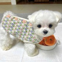 애견외출복 애완견 가을 및 겨울 옷 녹색 꽃 개 강아지 따뜻한 조끼 푸들 오픈 스웨터 니트 패브릭 코트 애완 동물, Green+S