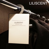 리리센트 샤쉐 옷장방향제 탈취 냄새제거, 8g, 1개, 웨딩데이