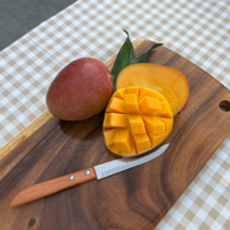 계절식탁 페루산 고당도 애플망고 선물세트, 4kg(항공)