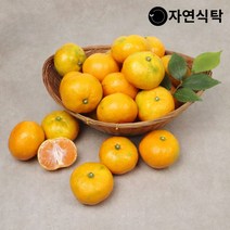 자연식탁 제주직송 극조생 노지감귤 4.5kg 사이즈별, 노지감귤 4.5kg 소과