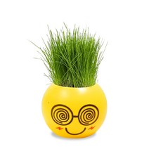 실내정원 홈잔디 머리 인형 DIY 식물 실내 정원 발코니 화병 꽃 화분, 05 Dizziness Grass Head
