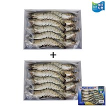바다식객 블랙타이거새우 1+1 500g 10미/12미/15미/20미, 15미+15미