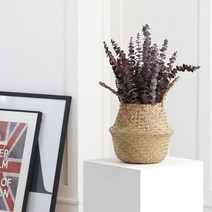 해초바구니 소 라탄 왕골 화분 커버 카페, 해초바구니(소), 1개