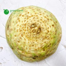 샐러리악 1개(약1kg), 1개