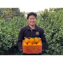 [제직증명] 초신선 한라봉 1월특가(한정수량), 돌담농장 초고당도 가정용 2KG
