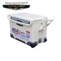 [ILLU]행관 슈퍼바이저 아이스박스 3600RX 36L 캠핑용 여행용 보냉 쿨러 식품보관 소풍 용보냉_hAeEA, Χ선택무Χ, ff본상품ff