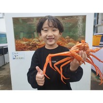 동해안 후포항 프리미엄 박달 홍게 대게 / 산지직송 생물 자숙(찜), 정품 박달홍게 특대짜 3마리, 자숙(찜)비용 무료