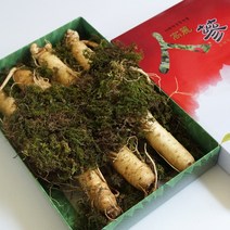 청명네이처 금산인삼 수삼(원수삼) 특대 (750g) (6~7뿌리) 박스포장, 1개, 750g