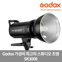 가우포토 공식정품 고독스 SK300II 스튜디오 스트로보 무선광량제어, 단품
