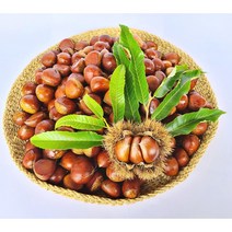 공주 햇밤 출시 알밤 대, 공주 알밤 4kg - 대