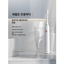 전동 칫솔 모 진동 치솔 음파 세정기 치석 제거기, 사랑의(발렌타인데이)