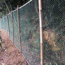 철망 울타리 그물망 능형망 철조망 휀스 무거운 안티 조류 그물 정원 울타리 및 작물 보호 펜싱 메쉬 사슴, 01 18-Strands_03 2M x 15M
