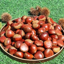 국내산 공주알밤 햇밤 정안 옥광밤 중사이즈, 2kg x 1박스, 1개