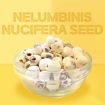 열린약초 깐 연자육 연꽃씨앗 연꽃씨 연육 연씨 연밥, 깐 연자육(통) 300g, 300g