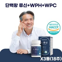 류신 L-로이신 L-류신 90정 45일분 X 3통 류신영양제 HACCP인증 BCAA 40대50대류신 고단백프로틴 근육강화제 근육보충제 단백질보충제 루신 류신알약 WPH WPC, 600mg, 3개
