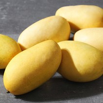 [후레쉬데이] 열대과일의 여왕! 필리핀 후레쉬 망고 5kg(24과), 상세 설명 참조, 단품